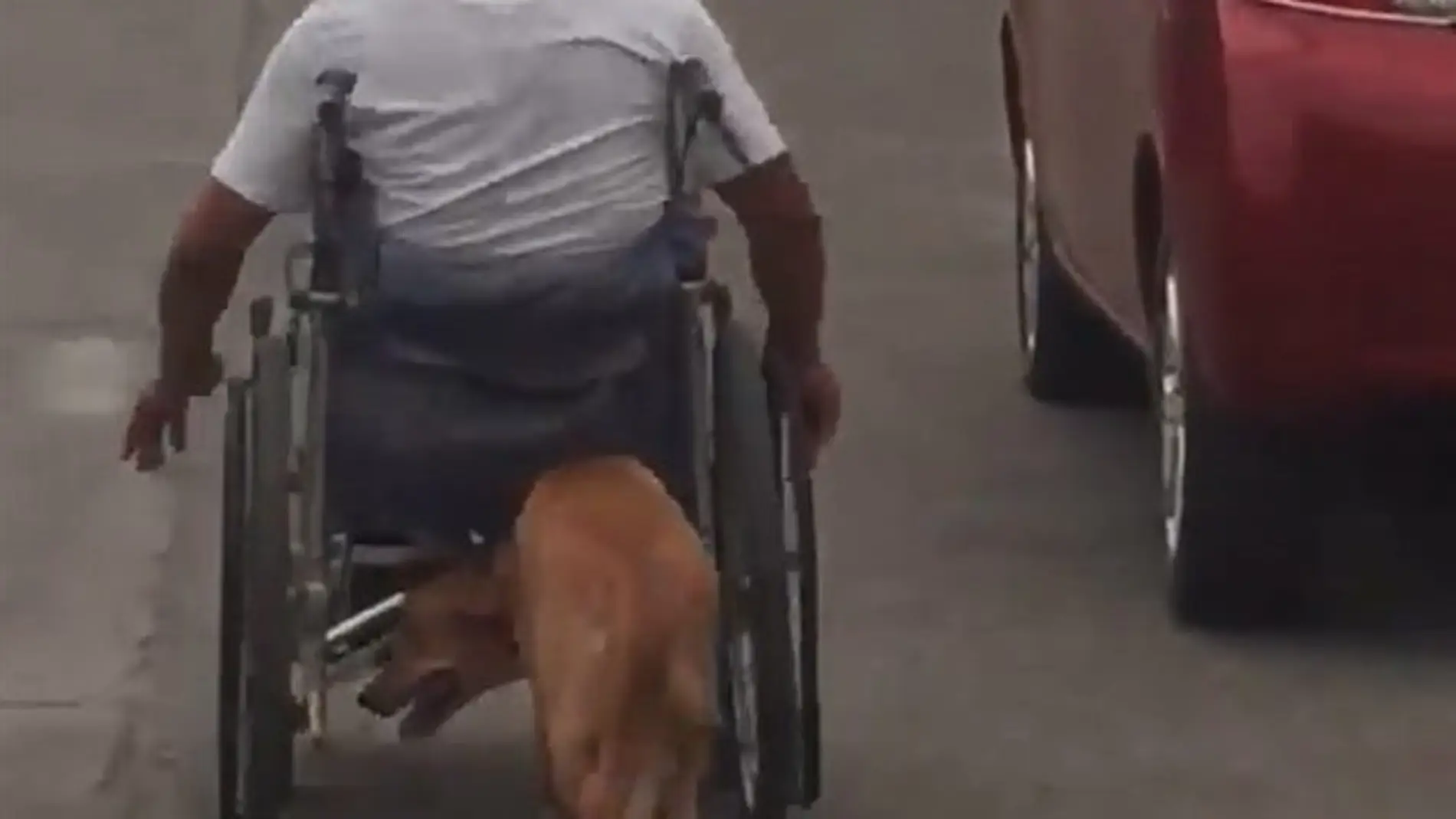 Empujando a su dueño