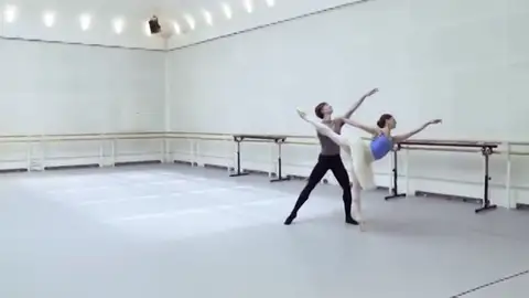 El Teatro Real acogerá una nueva producción de 'El lago de los cisnes' El Teatro Real acogerá una nueva producción de 'El lago de los cisnes'