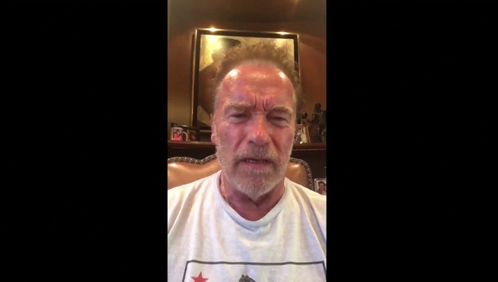 Arnold Schwarzenegger llama a Trump "fideo mojado"
