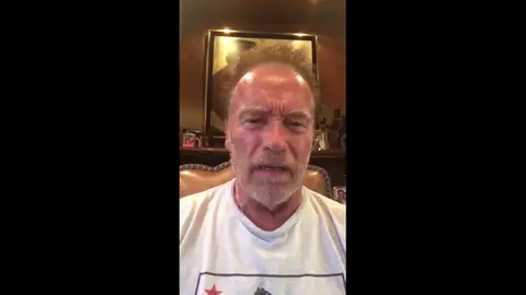 Arnold Schwarzenegger llama a Trump "fideo mojado" Arnold Schwarzenegger llama a Trump "fideo mojado"