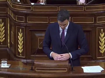 Pedro Sánchez propone prohibir por ley las aministías fiscales y promete no subir los impuestos a clases trabajadoras Pedro Sánchez propone prohibir por ley las aministías fiscales y promete no subir los impuestos a clases trabajadoras