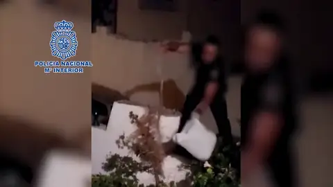 Capturan una serpiente de algo más de un metro de largo en el patio de una vivienda en Málaga Capturan una serpiente de algo más de un metro de largo en el patio de una vivienda en Málaga
