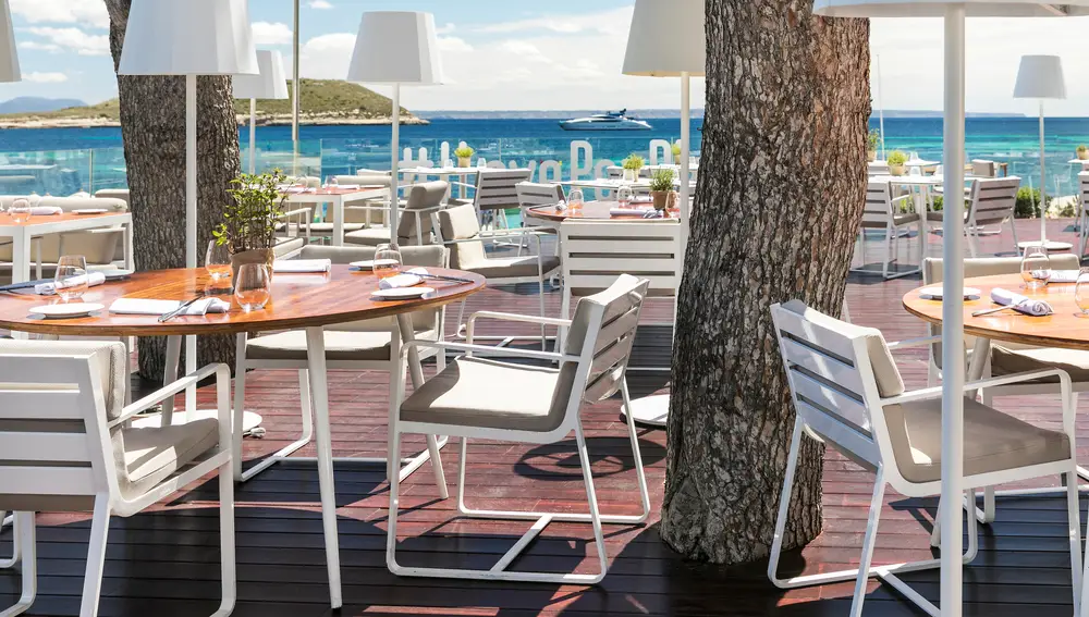 Pez Playa Mallorca