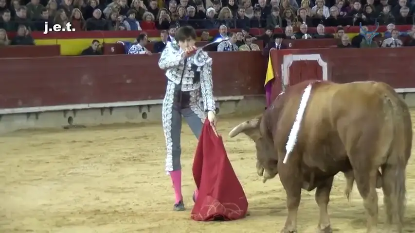 El torero Andrés Roca Rey Roca Rey, el torero de moda