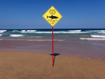 Peligro por la presencia de tiburones en una playa