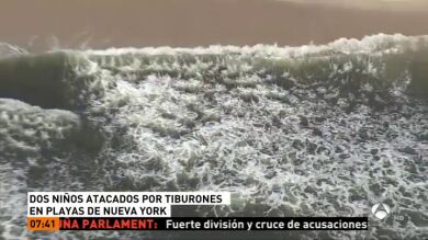 Dos niños, atacados por tiburones en playas de Nueva York