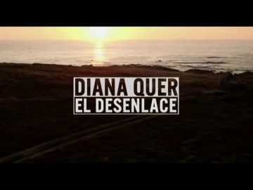 Diana Quer, el desenlace
