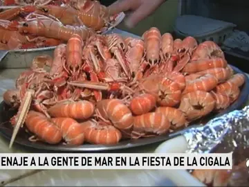 CIGALAS CIGALAS