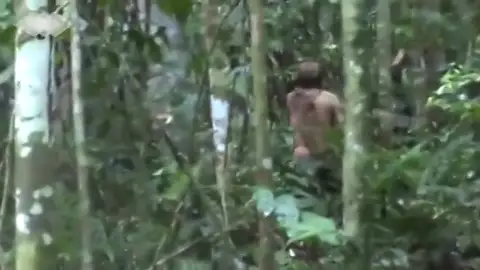Graban al hombre más solo del mundo en la selva de Brasil Graban al hombre más solo del mundo en la selva de Brasil