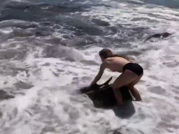 Una joven rescata a un tiburón varado en una playa de EEUU