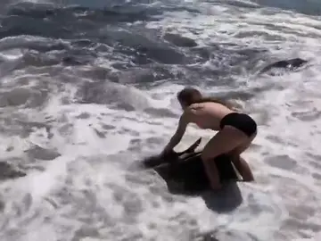 Una joven rescata a un tiburón varado en una playa de EEUU Una joven rescata a un tiburón varado en una playa de EEUU