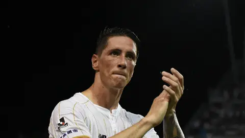 Fernando Torres Fernando Torres