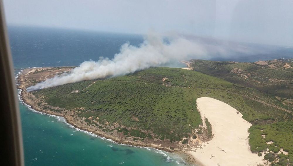 Incendio declarado en el paraje de Punta Camarinal en Tarifa 