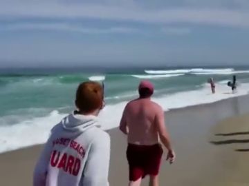 Las espectaculares imágenes de un tiburón nadando en una playa surfista de Massachusetts