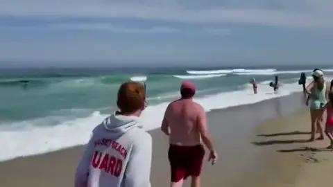Las espectaculares imágenes de un tiburón nadando en una playa surfista de Massachusetts Las espectaculares imágenes de un tiburón nadando en una playa surfista de Massachusetts