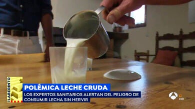 ¿Es bueno para la salud tomar leche cruda? Los pasos que debes seguir