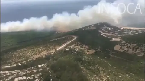 Detrás de la mayoría de los incendios investigados está la mano del hombre Detrás de la mayoría de los incendios investigados está la mano del hombre