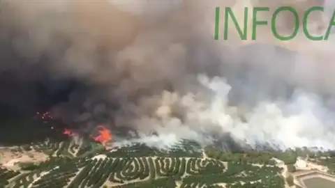 Incendio en Nerva, Huelva. Incendio en Nerva, Huelva.