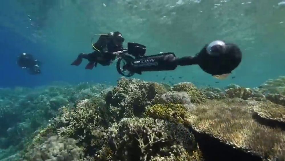 Encuentran unos arrecifes de coral sanos que podrían ayudar a contrarrestar los efectos del calentamiento global en los corales