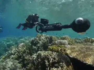 Encuentran unos arrecifes de coral sanos que podrían ayudar a contrarrestar los efectos del calentamiento global en los corales Encuentran unos arrecifes de coral sanos que podrían ayudar a contrarrestar los efectos del calentamiento global en los corales