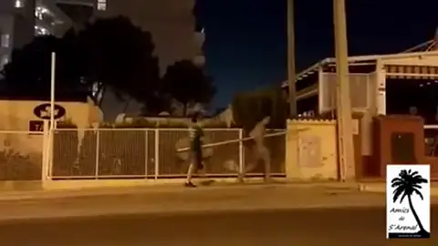 Dos jóvenes se llevan una señal de tráfico Dos jóvenes se llevan una señal de tráfico