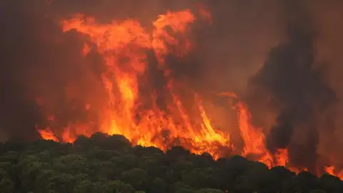 Activado el nivel 1 de Emergencias por un incendio forestal declarado en Nerva Activado el nivel 1 de Emergencias por un incendio forestal declarado en Nerva