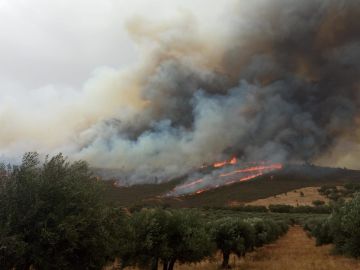 Incendio en San Vicente de Alcántara, en Badajoz