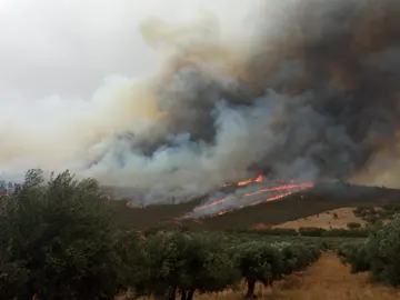Incendio en San Vicente de Alcántara, en Badajoz Incendio en San Vicente de Alcántara, en Badajoz