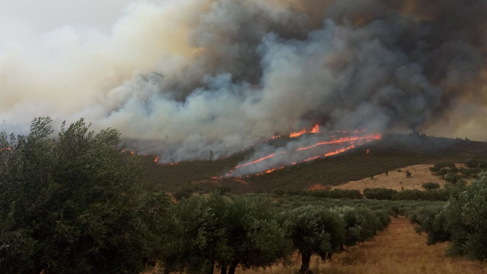 Estabilizado el incendio de San Vicente de Alcántara (Badajoz)