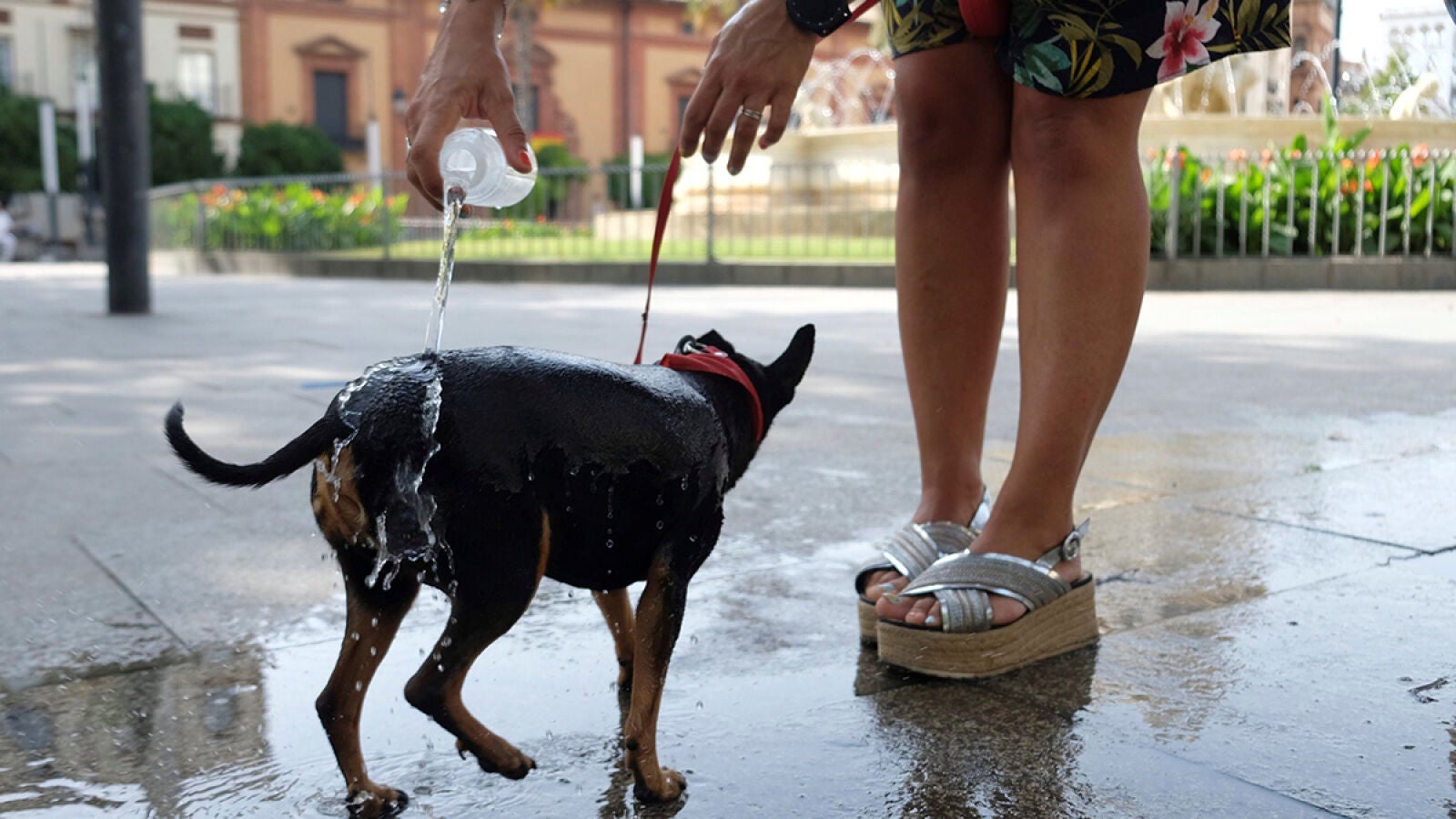 Altas temperatura en todo el país excepto en Galicia, donde los termómetros descenderán