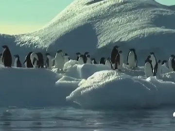 CAMBIO_CLIMATICO_NUEVAÃ CAMBIO_CLIMATICO_NUEVAÃ