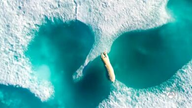 Las fotografías más espectaculares tomadas por drones