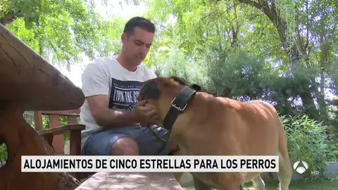 RESIDENCIA_PERROS_NUEVA RESIDENCIA_PERROS_NUEVA