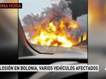 BOLONIA BOLONIA