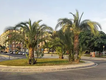 Rotonda en el barrio El Toscar de Elche Rotonda en el barrio El Toscar de Elche