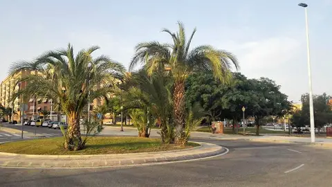 Rotonda en el barrio El Toscar de Elche Rotonda en el barrio El Toscar de Elche