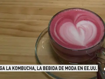 KOMBUCHA KOMBUCHA
