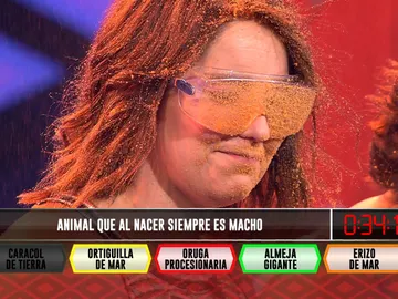 "Animal que al nacer siempre es macho" hace que los 'Alicates' no desactiven su cuarta bomba en '¡Boom!' "Animal que al nacer siempre es macho" hace que los 'Alicates' no desactiven su cuarta bomba en '¡Boom!'