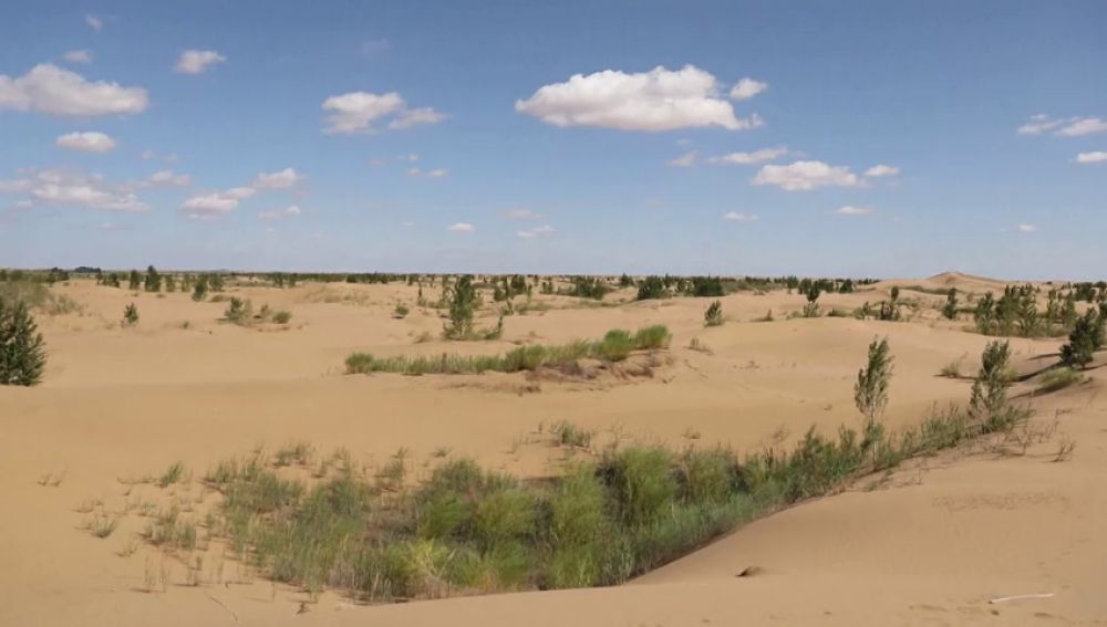 Los científicos alertan de que la Tierra puede caer en estado invernadero irreversible, lo que haría inhabitables varios lugares del planeta