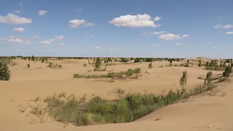 Los científicos alertan de que la Tierra puede caer en estado invernadero irreversible, lo que haría inhabitables varios lugares del planeta Los científicos alertan de que la Tierra puede caer en estado invernadero irreversible, lo que haría inhabitables varios lugares del planeta