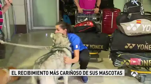 Carolina Marin recibimiento Carolina Marin recibimiento