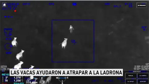 Increíbles imágenes de la persecución policial a una ladrona en Florida Increíbles imágenes de la persecución policial a una ladrona en Florida