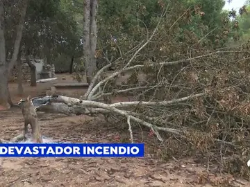 Los vecinos de Gandía afectados por el fuego: "Estamos desolados" Los vecinos de Gandía afectados por el fuego: "Estamos desolados"