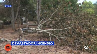 Los vecinos de Gandía afectados por el fuego: 