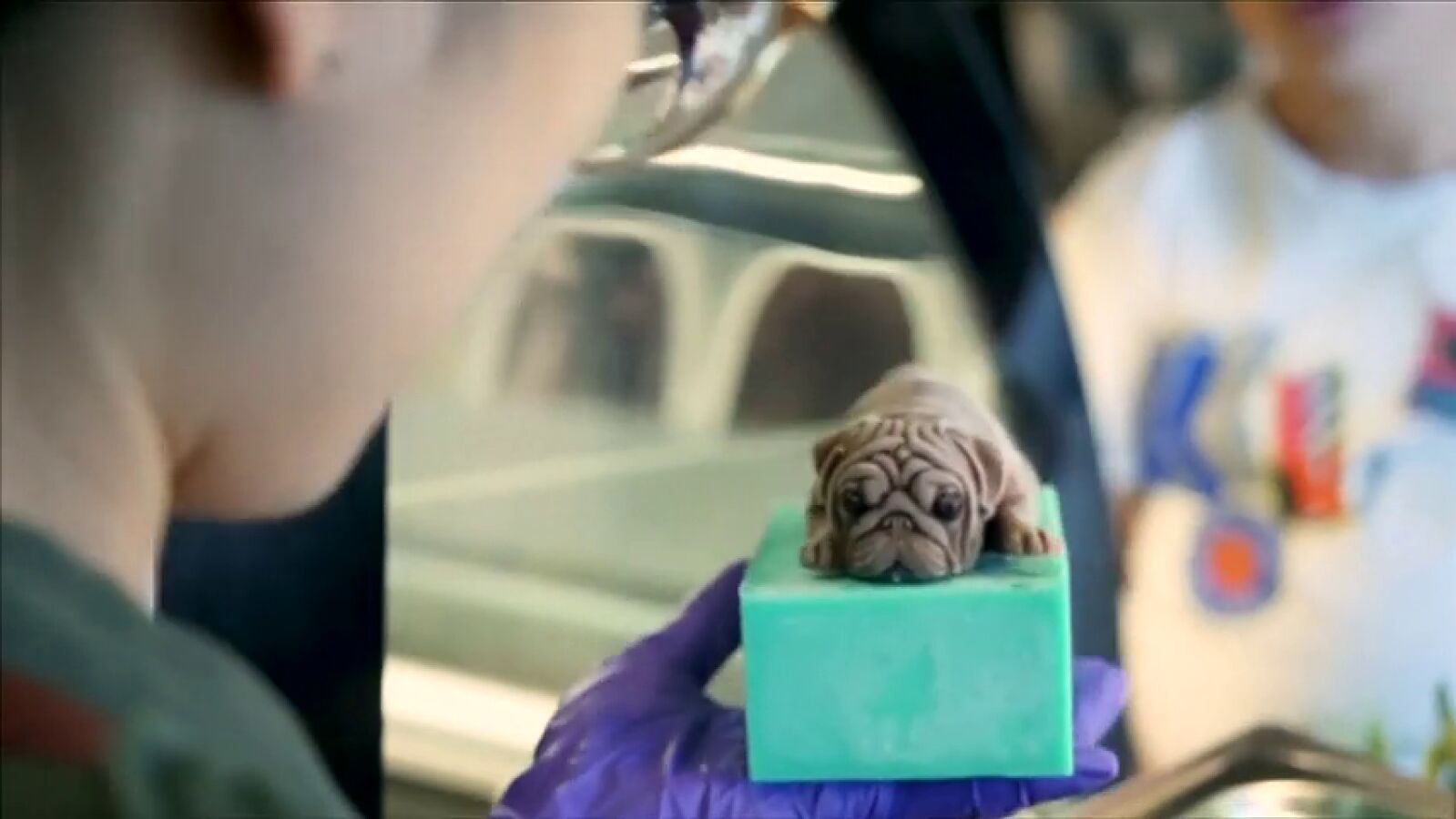 Preparan los primeros helados con forma de perrito en Taiwán