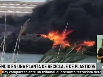 ejido ejido