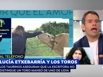 Lucía Etxebarría enciende la red: "El toro no es un animal agresivo, tienes que acosarlo" Lucía Etxebarría enciende la red: "El toro no es un animal agresivo, tienes que acosarlo"