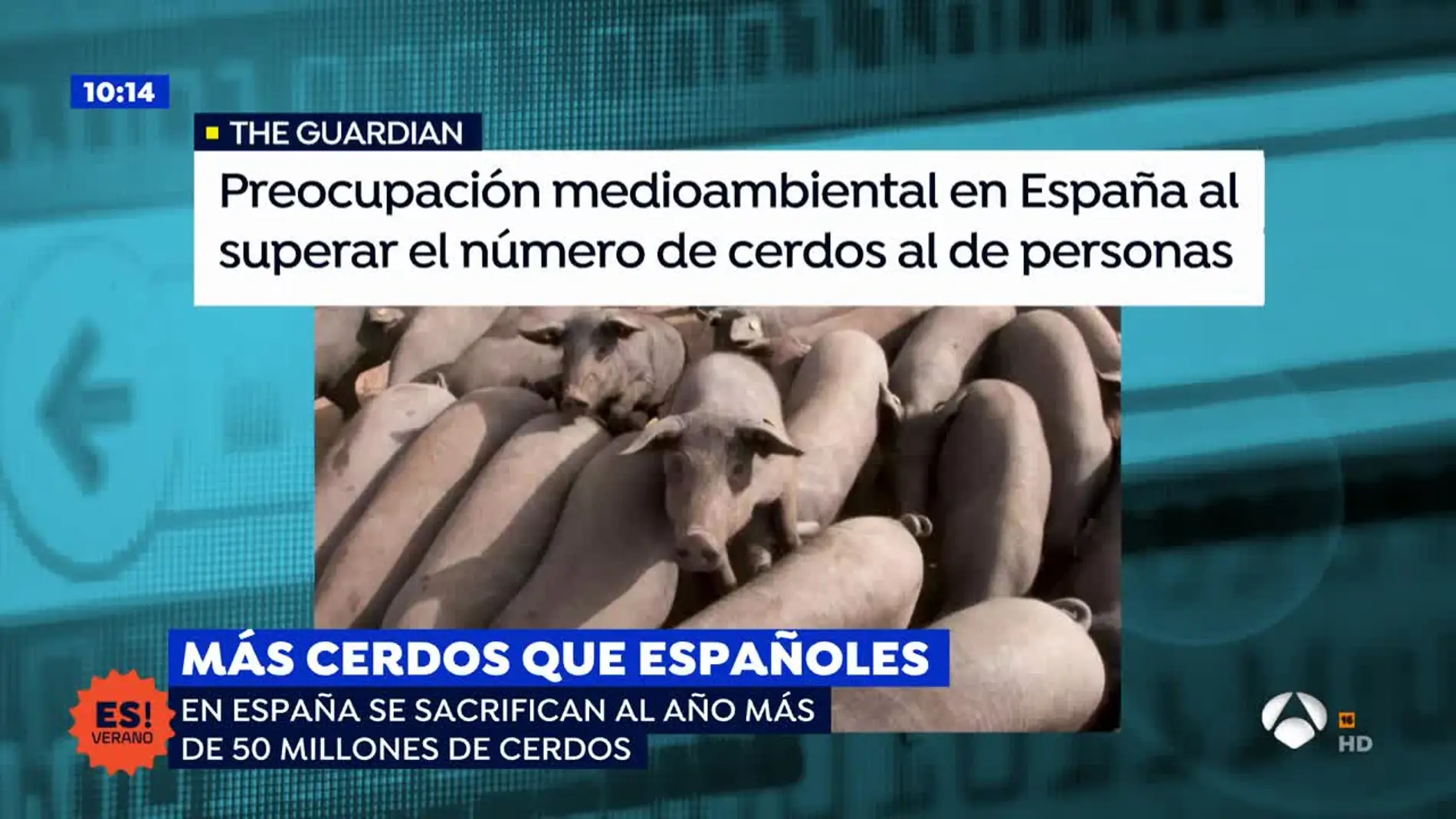 Un artículo británico levanta la polémica sobre los cerdos en España