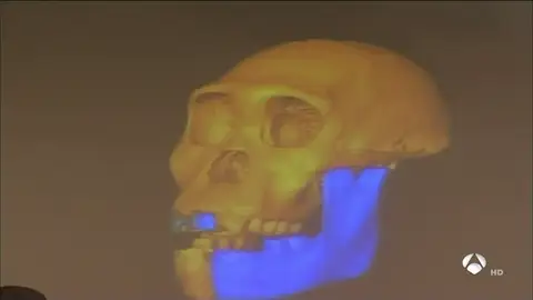 neandertla neandertla