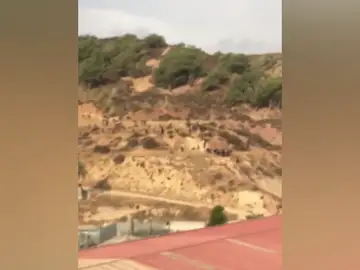 Siete guardias civiles resultan heridos por quemaduras al recibir cal viva y ácido en un nuevo salto masivo a la valla de Ceuta Siete guardias civiles resultan heridos por quemaduras al recibir cal viva y ácido en un nuevo salto masivo a la valla de Ceuta